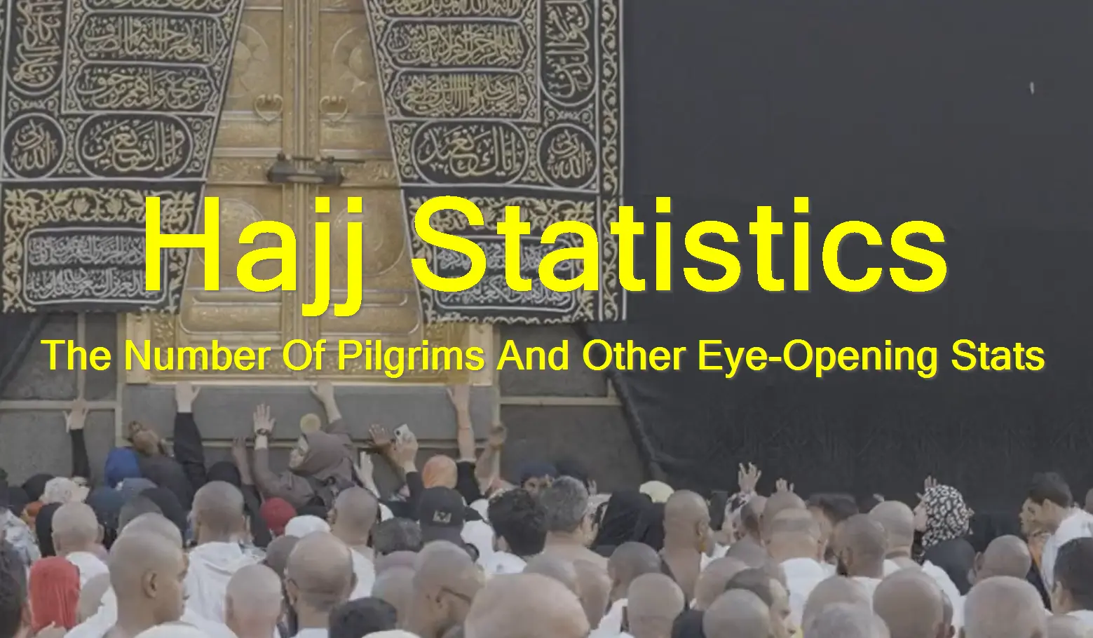 Hajj 2023 Statistics Number Of Pilgrims, Tents, And Other Stats